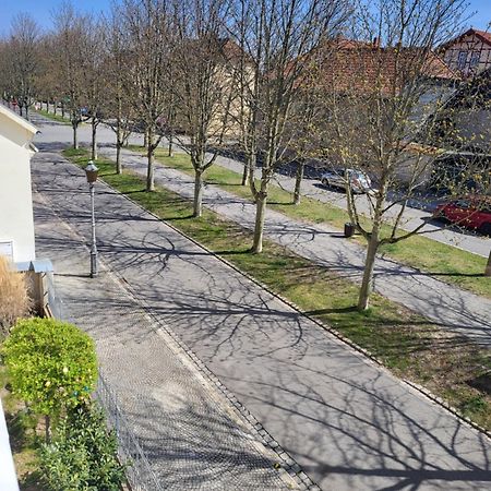 Alleeblick Ballenstedt Luaran gambar