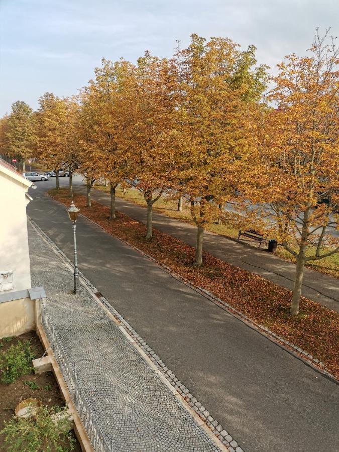 Alleeblick Ballenstedt Luaran gambar