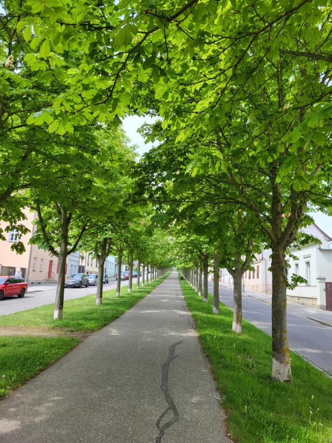 Alleeblick Ballenstedt Luaran gambar